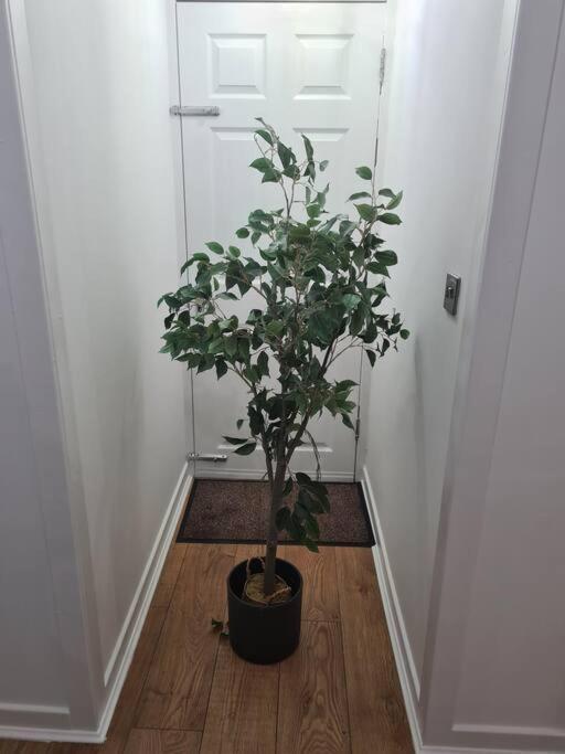 Lovely 2 Bedroom Garden Flat In Trendy West End 글라스고 외부 사진